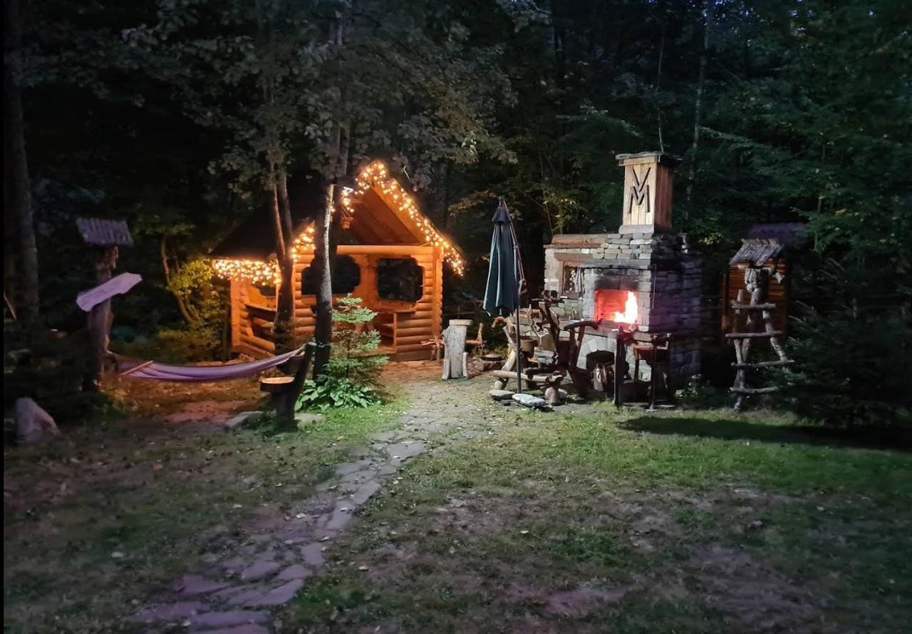 Зарінок Карпат Villa Mykuljtsjin Eksteriør bilde