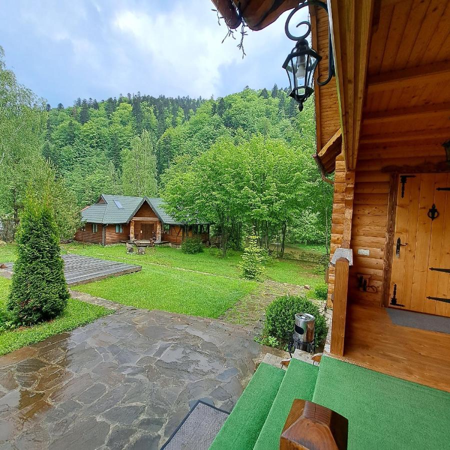 Зарінок Карпат Villa Mykuljtsjin Eksteriør bilde