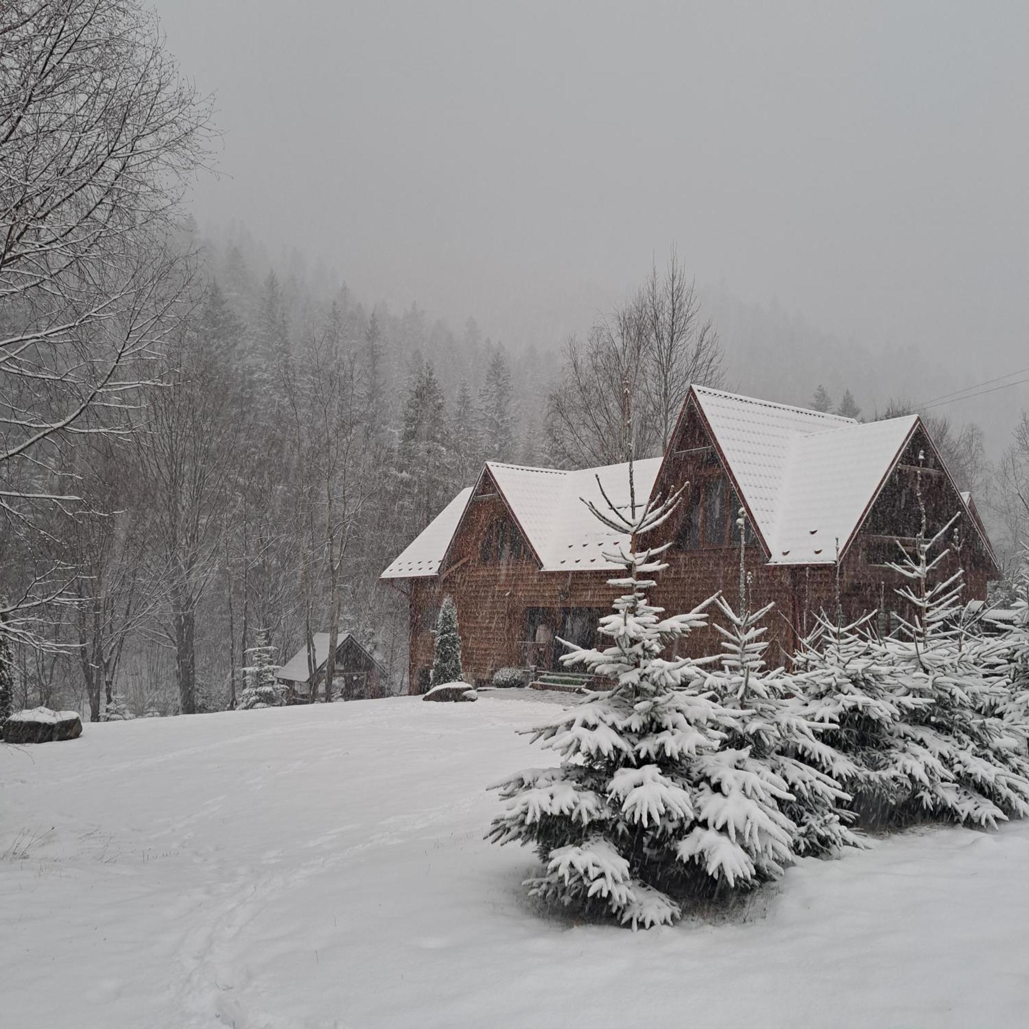 Зарінок Карпат Villa Mykuljtsjin Eksteriør bilde